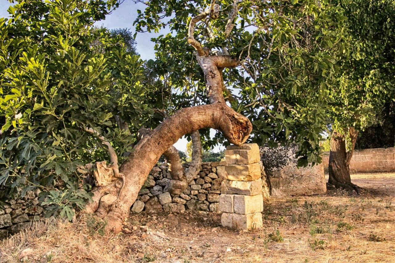 Masseria Costa Corigliano d'Otranto Exterior photo